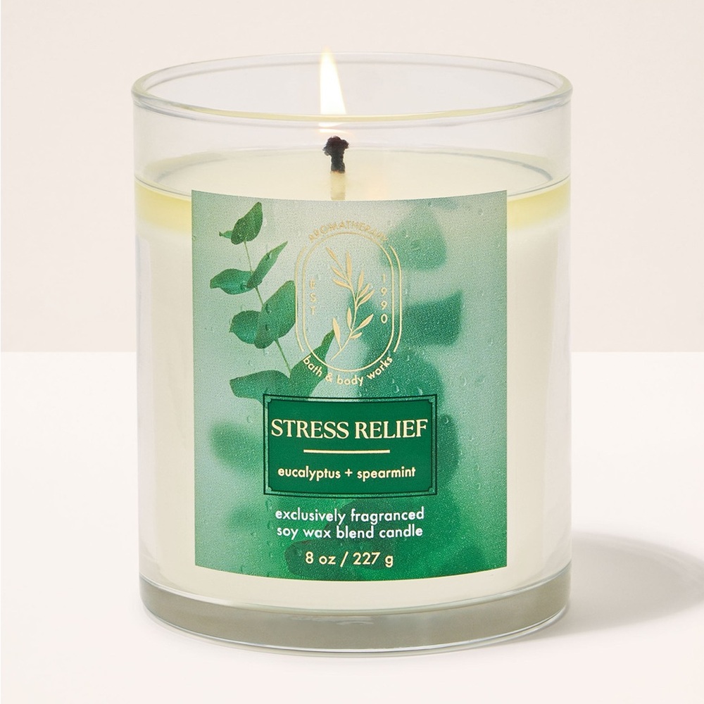 Bath and Body Works Stress Relief Eucalyptus Spearmint Single Wick Candle